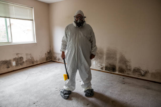 Best Toxic Mold Removal  in Cressona, PA